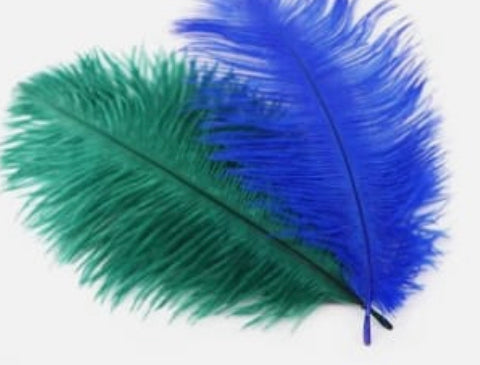 Colored Ostrich Feathers