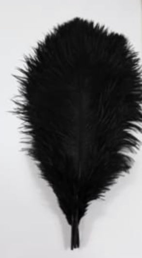 Black Ostrich Feathers