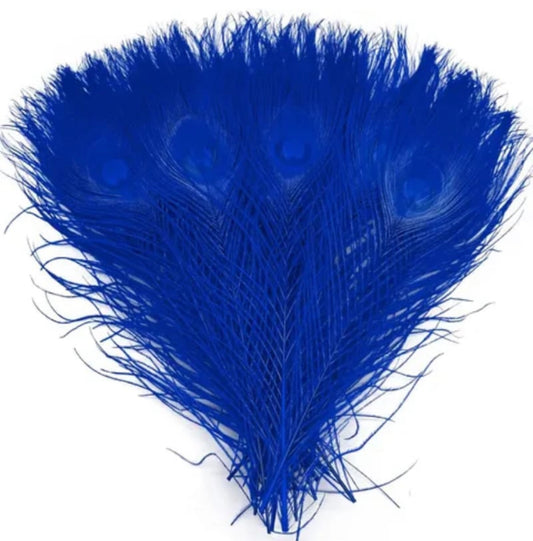 Blue Petcock Feathers