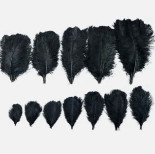 Black Feather Crafts